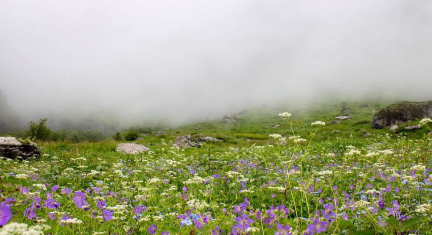 9. Valley of Flowers – A Unique Winter Experience